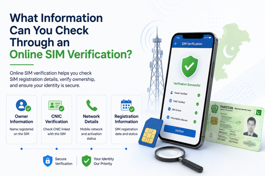 What information can you check through online SIM verification